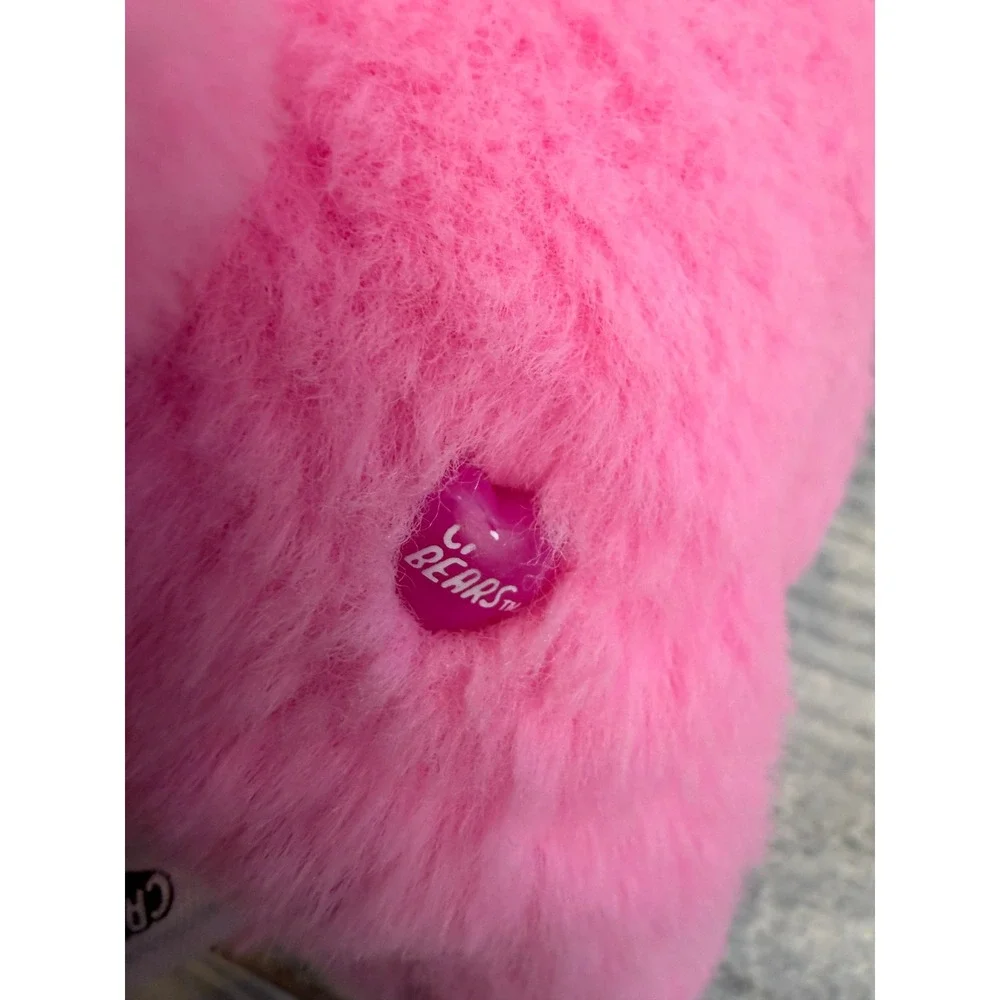 Sanrio Hello Kitty Care Bears Plush Cheer Bear Costume Rainbow Stuffed Animal